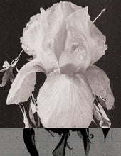 Load image into Gallery viewer, Drawstring Shirt